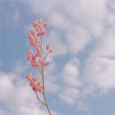 威尼斯游戏网站官网