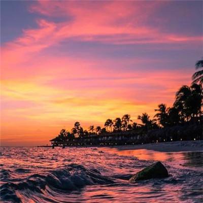 火博体育App官网