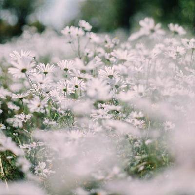 半岛官网最新下载