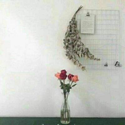 米博体育官方网站入口截图