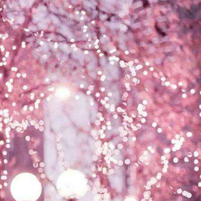 ob体育最新官网手机app下载