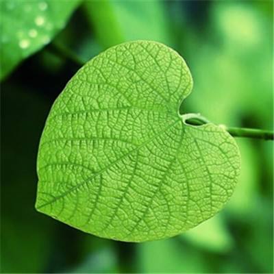 半岛·体育官方登录入口