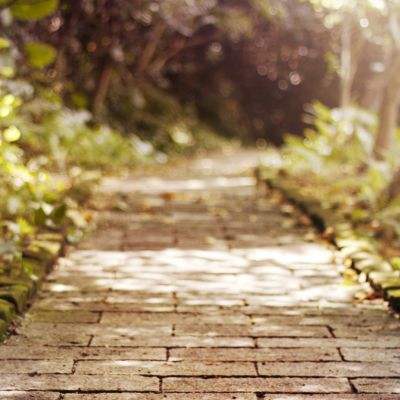 网赌游戏软件排行榜